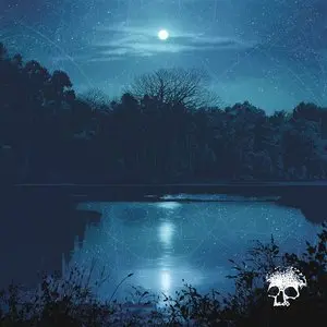 Planes Mistaken For Stars/Do You Still Love Me? (Transparent Ice Blue Viny) [Lp] 1