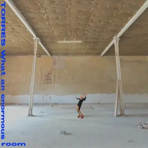 Torres/What An Enormous Room (Indie Exclusive Blue/White Vinyl) [Lp] 1