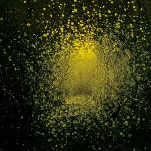 Antlers, The/Burst Apart (Lemonade Vinyl) [Lp] 1