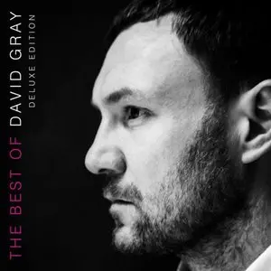 Gray, David/The Best Of David Gray (Orange Vinyl) [Lp] 1