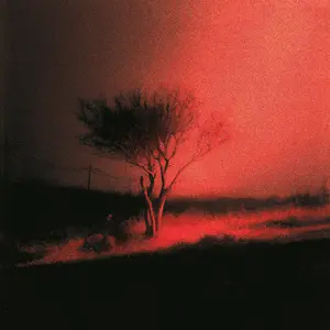 Joji/Piss In The Wind [Cd] 1