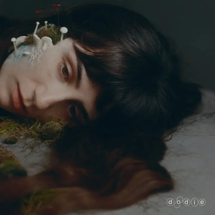 Dodie/Not For Lack Of Trying (Indie Exclusive) [Lp] 1