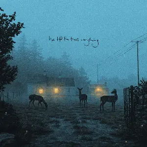 Kennedy, Dermot/I've Told The Trees Everything (Indie Exclusive) [12"] 1