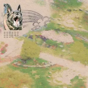Feeble Little Horse/Girl With Fish (Rainbow Sprinkle Splatter Vinyl) [Lp] 1
