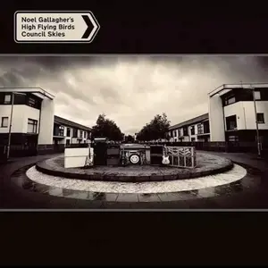 Noel Gallagher's High Flying Birds/Council Skies [Lp] 1