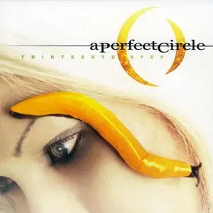 A Perfect Circle/Thirteen Step [Lp] 1