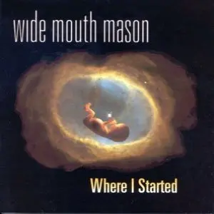 Wide Mouth Mason/Where I Started [Lp] 1