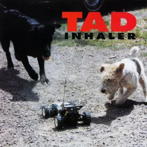 Tad/Inhaler [Lp] 1