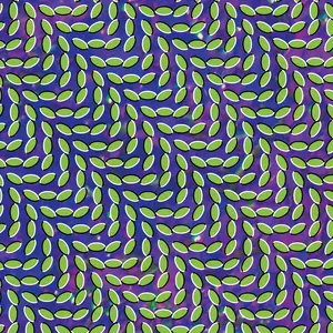 Animal Collective/Merriweather Post Pavilion (15Th Ann. Translucent Green & Bluish Vinyl) [Lp] 1