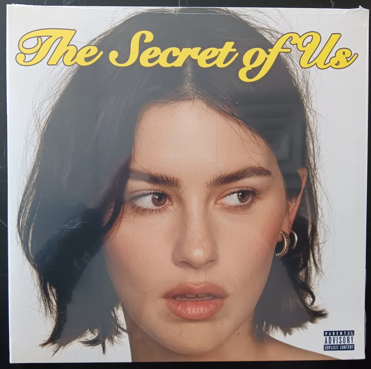 [Used Lp] Abrams, Gracie / The Secret Of Us 1