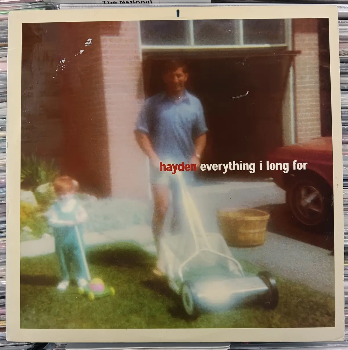 [Used Lp] Hayden / Everything I Long For 1